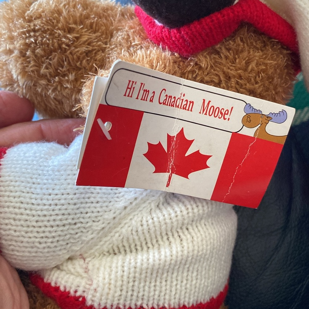 Canadian Moose Plush with Book - Picture 5 of 6